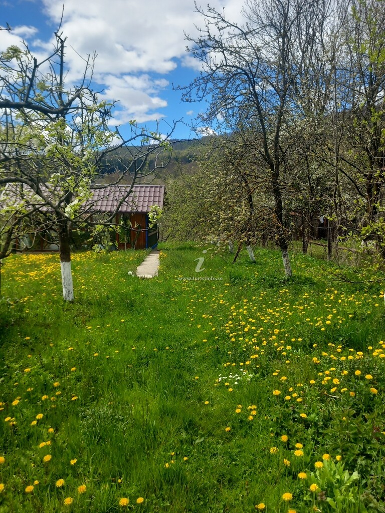 Căsuța Bunicii