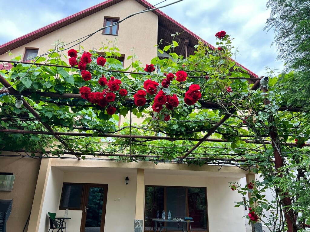 Casa cu Zorele