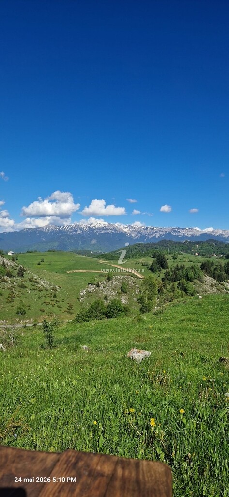 Casa Dealul Craiului