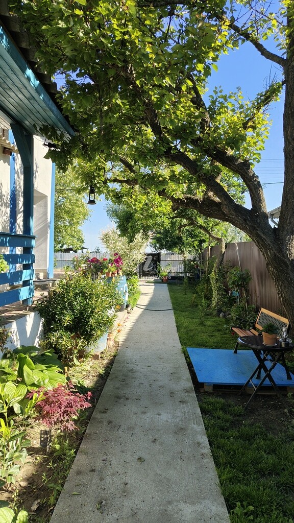 Casa Pescărușul Albatros