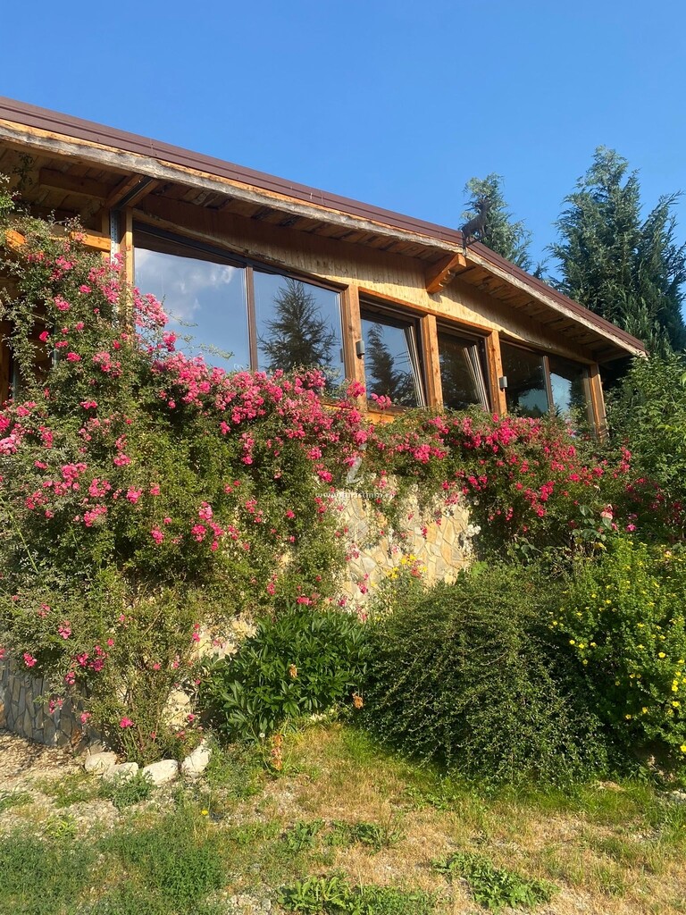 Cabana Vânătorului 8