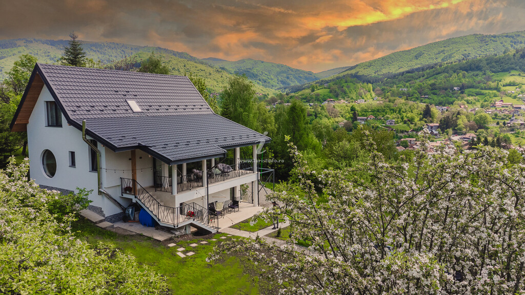 Infinity View Chalet