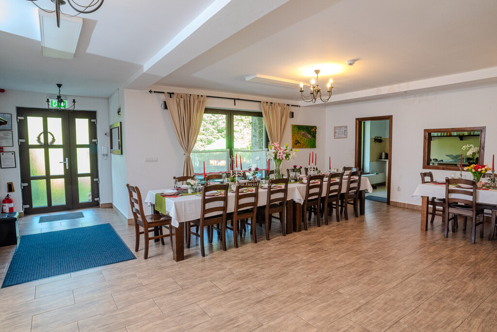 Casa Ștefan