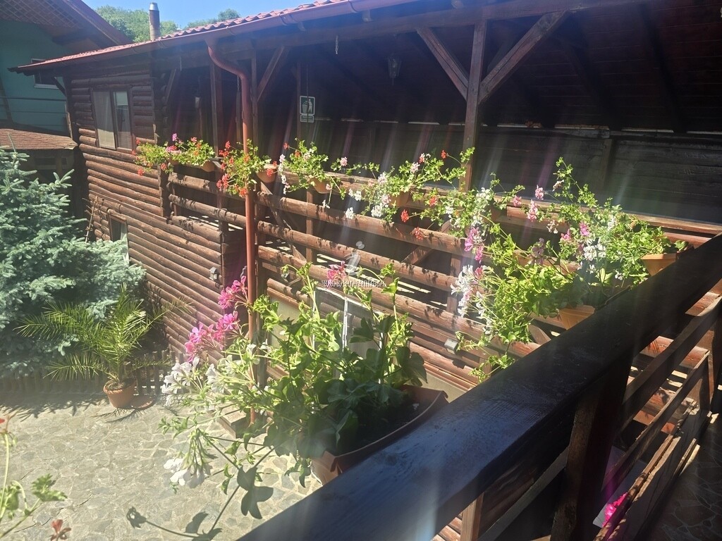 Casa Baciu