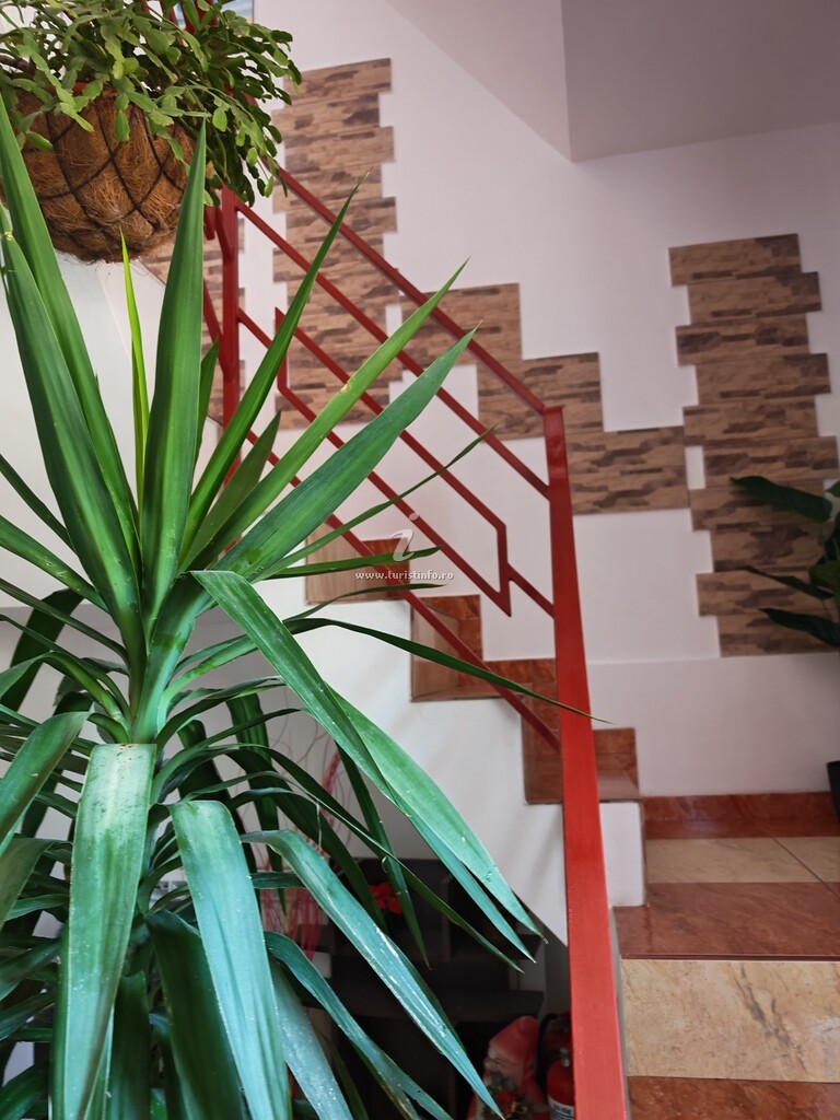 Casa Elena