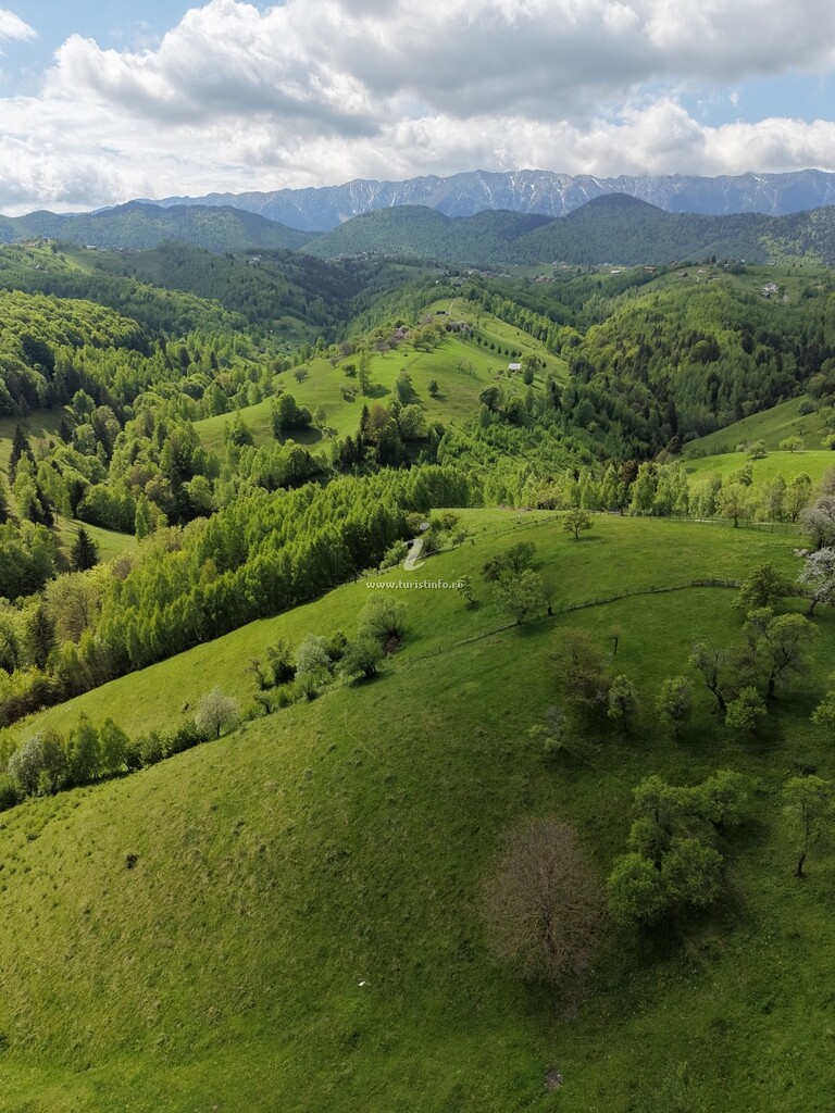 Pensiunea Tăbăcaru