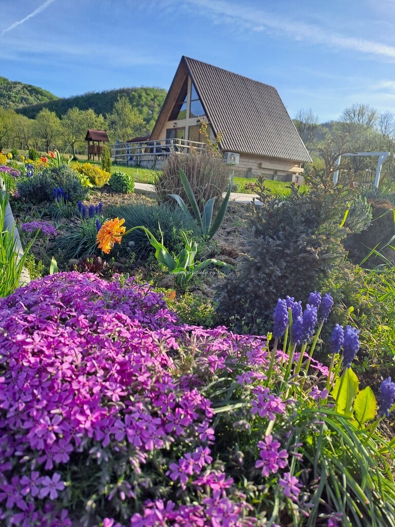 Cabana la Poalele Vulcanilor