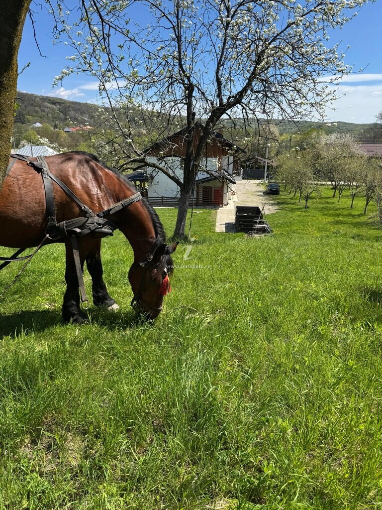 Pensiunea Agroturistică Conacul Doamnei
