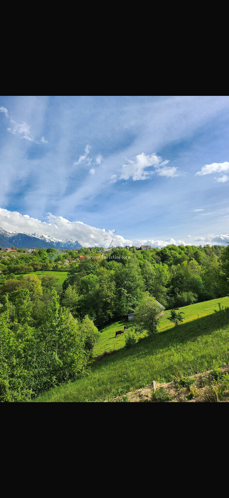 Casa de vacanță Dolce Retreat