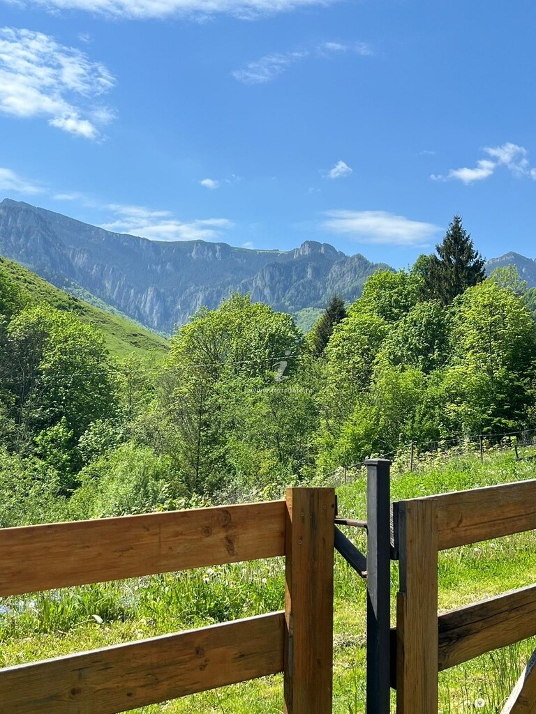 Pensiunea Doța