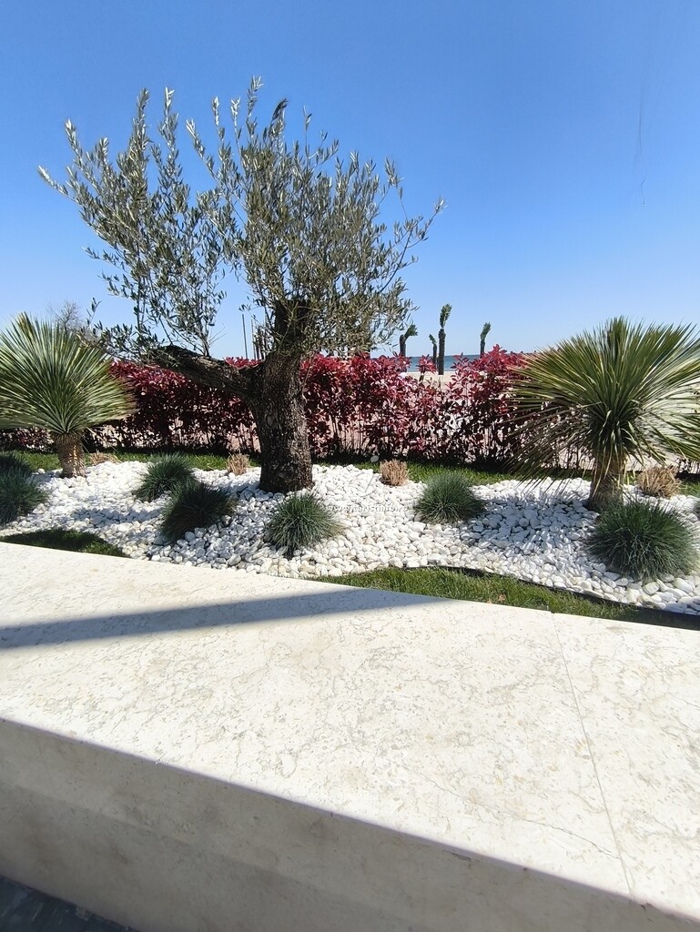 Apartament Elenis