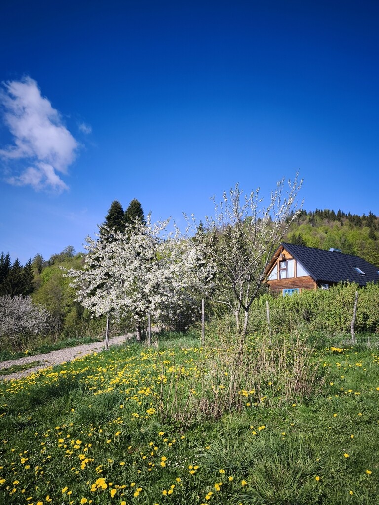 Pensiunea Agroturistică Căsuța de la Munte