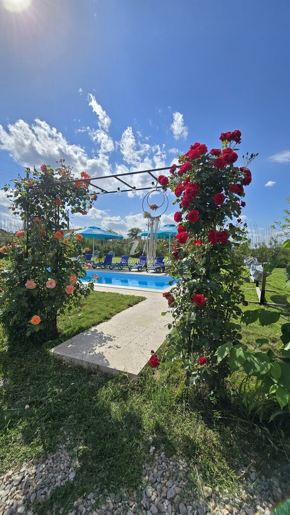 Camere de închiriat Casa cu Trandafiri