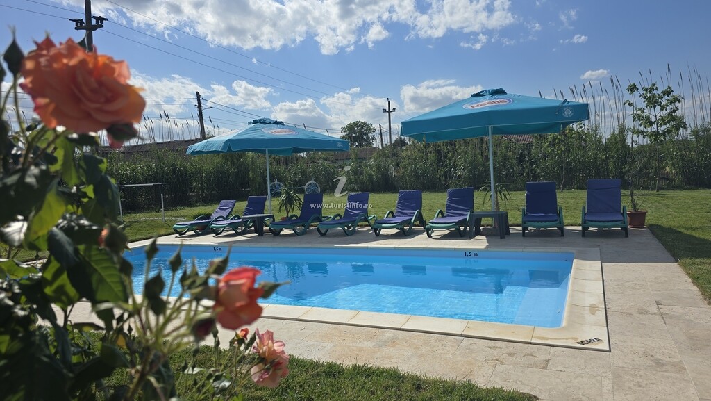 Camere de închiriat Casa cu Trandafiri