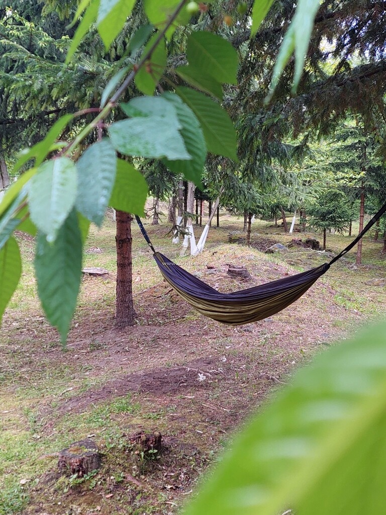 Cabana Dochița 2