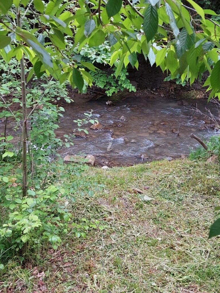 Cabana Dochița 2