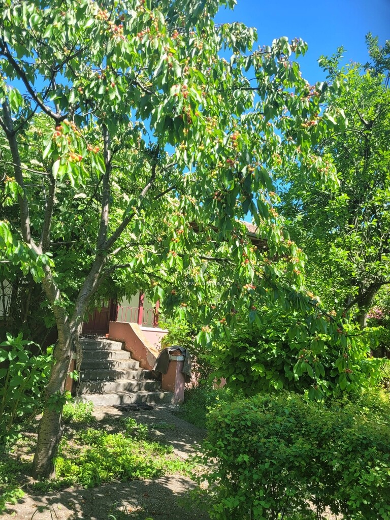 Vila Tulcea