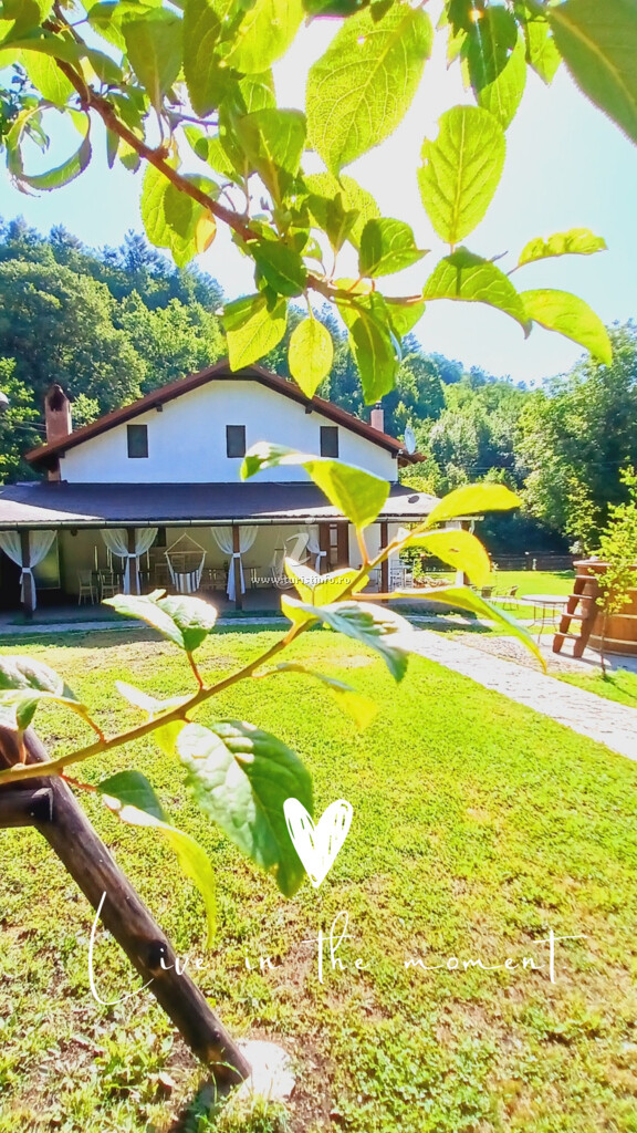 Casa la Bursucu