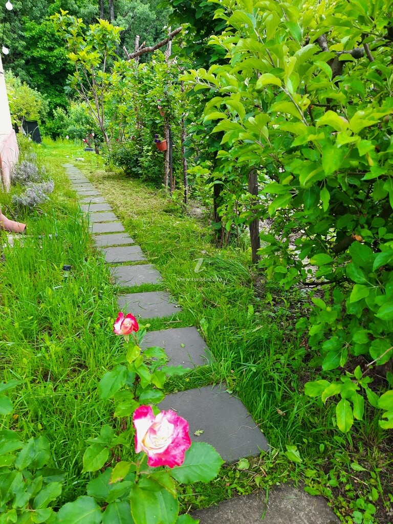 Casa de vacanță Livada Merilor