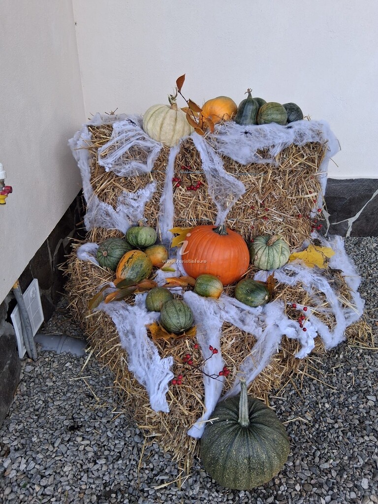 Casa Ligia