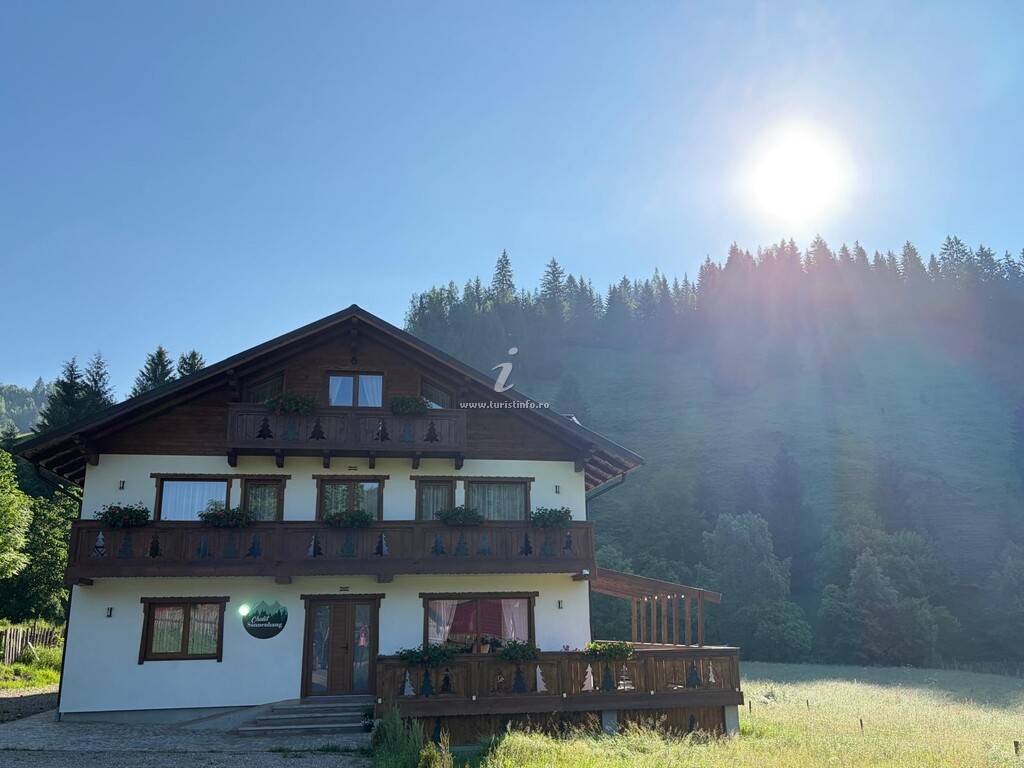Pensiunea Chalet Sonnenhang