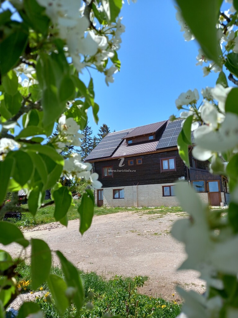 Casa David