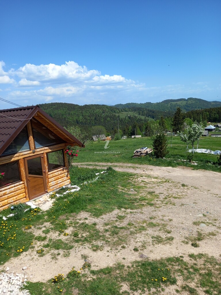 Casa David