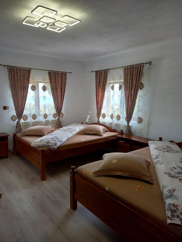 Casa David