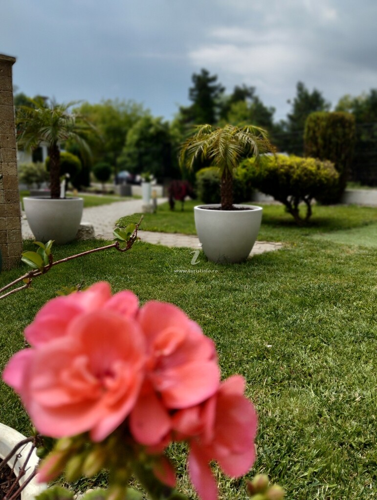 Camere de închiriat Ana - Andreea