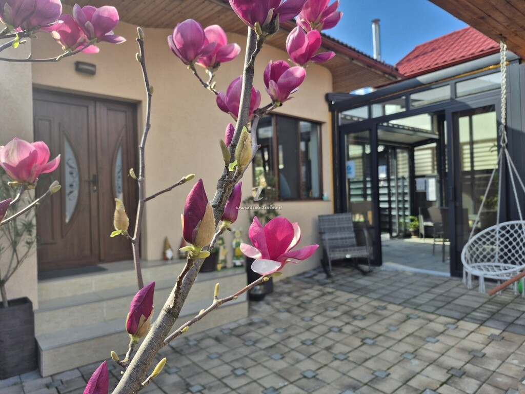 Camere de închiriat Casa Anima