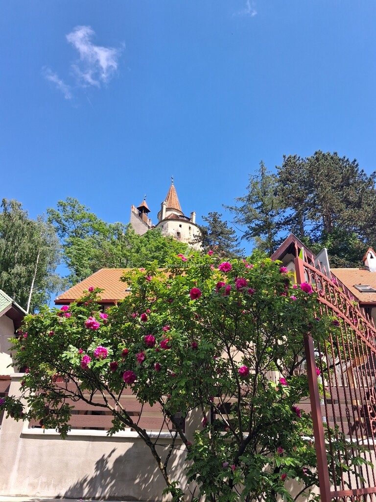 Căsuța de langă Castel