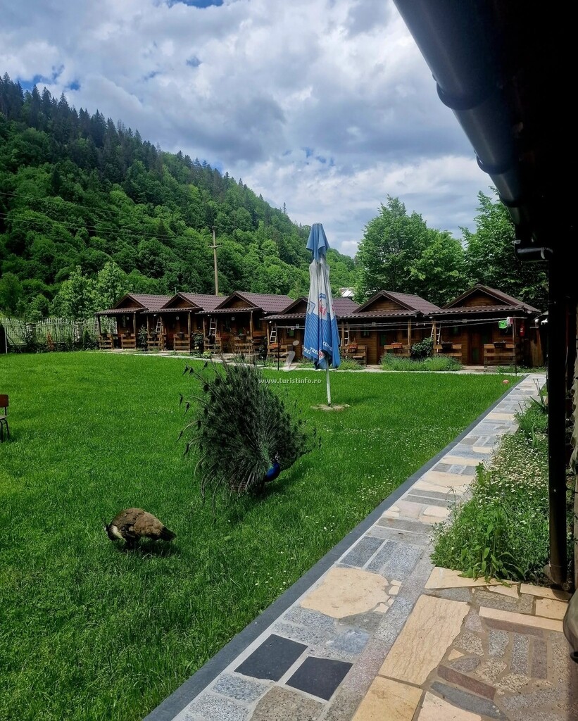 Căbănuțe Poiana Soarelui