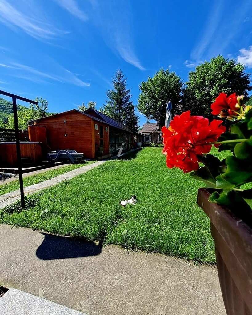 Căbănuțe Poiana Soarelui