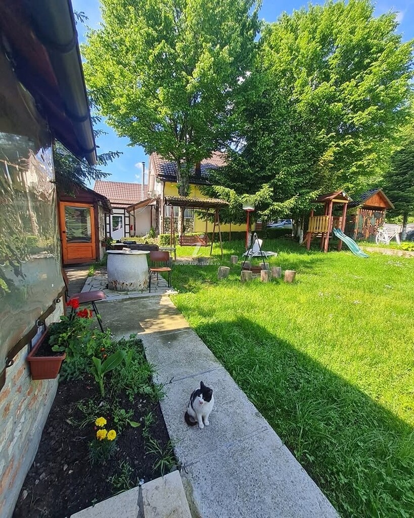 Căbănuțe Poiana Soarelui