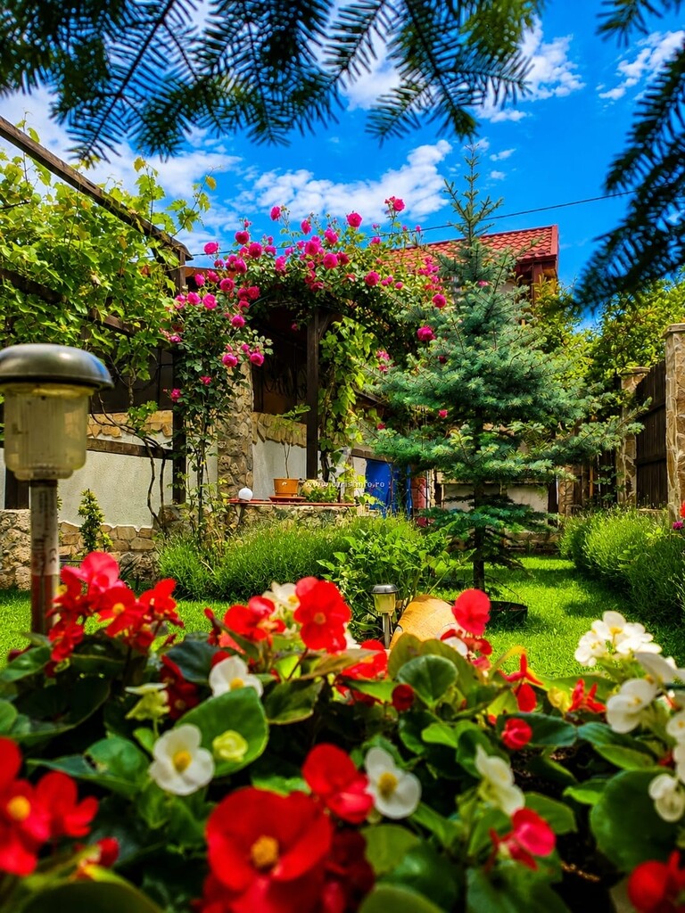 Casa cu Piatra