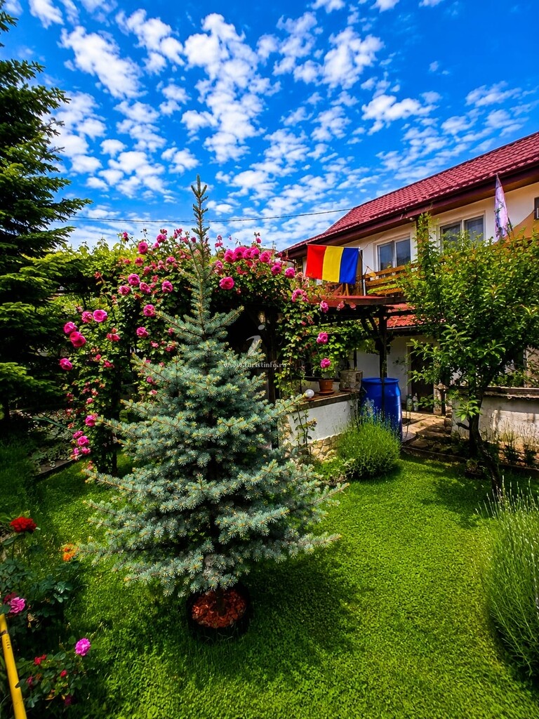 Casa cu Piatra