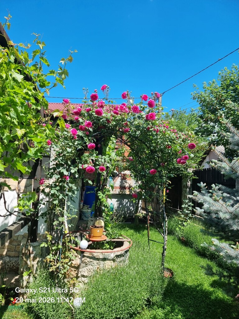 Casa cu Piatra