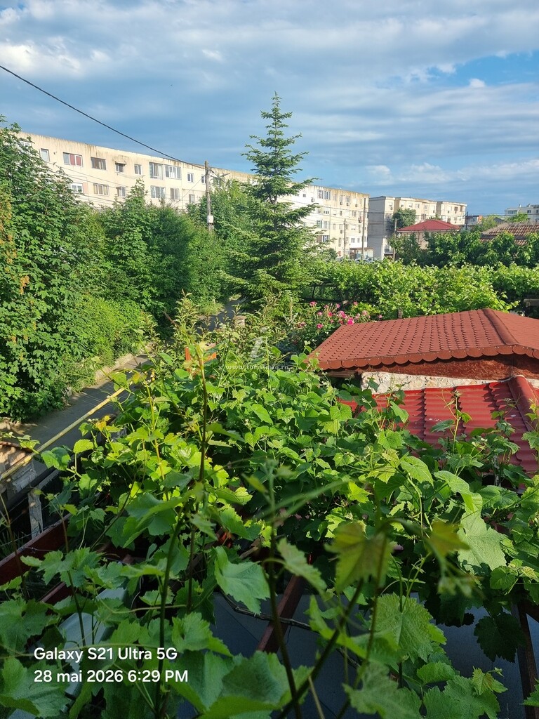 Casa cu Piatra