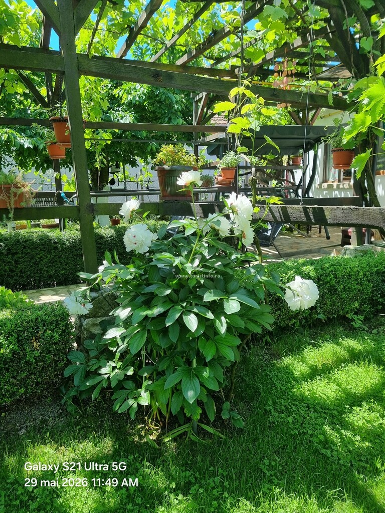 Casa cu Piatra