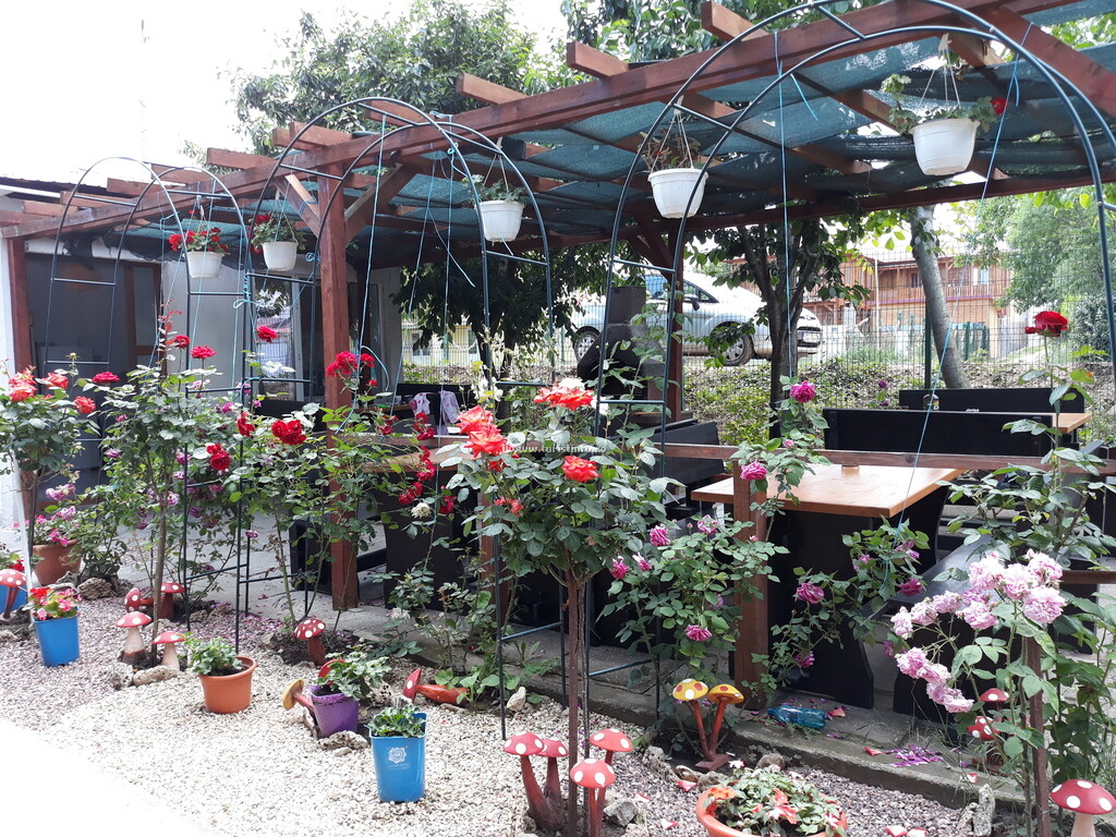 Camere de închiriat Doriana