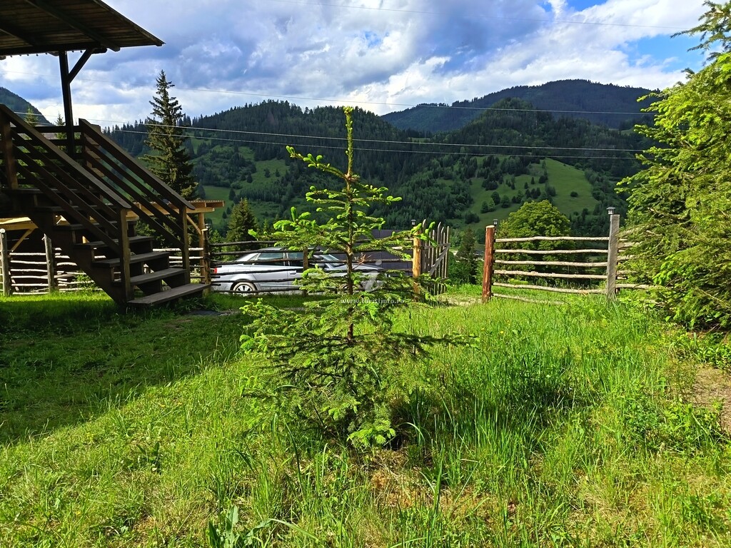 Cabana Norilor