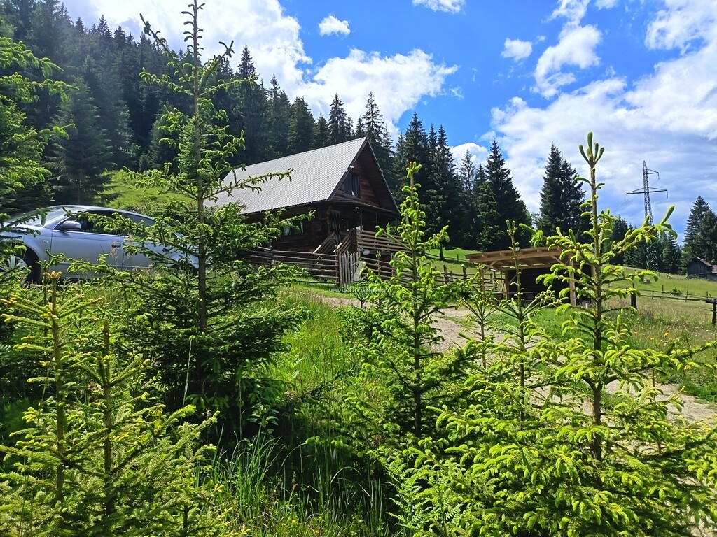 Cabana Norilor