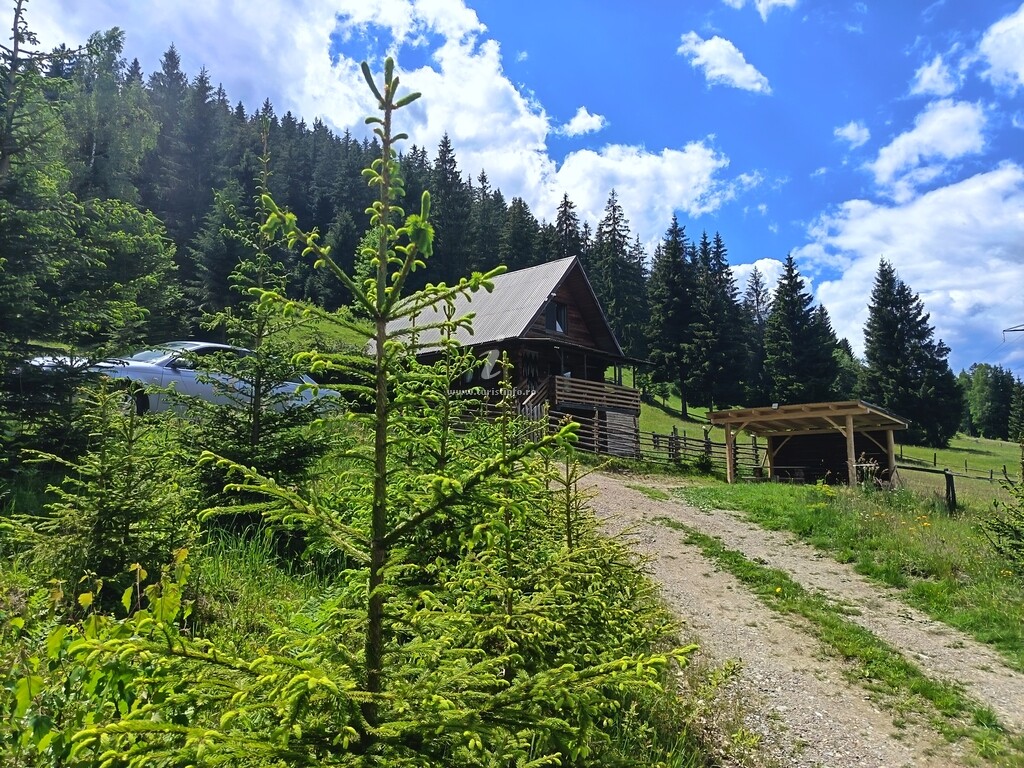 Cabana Norilor