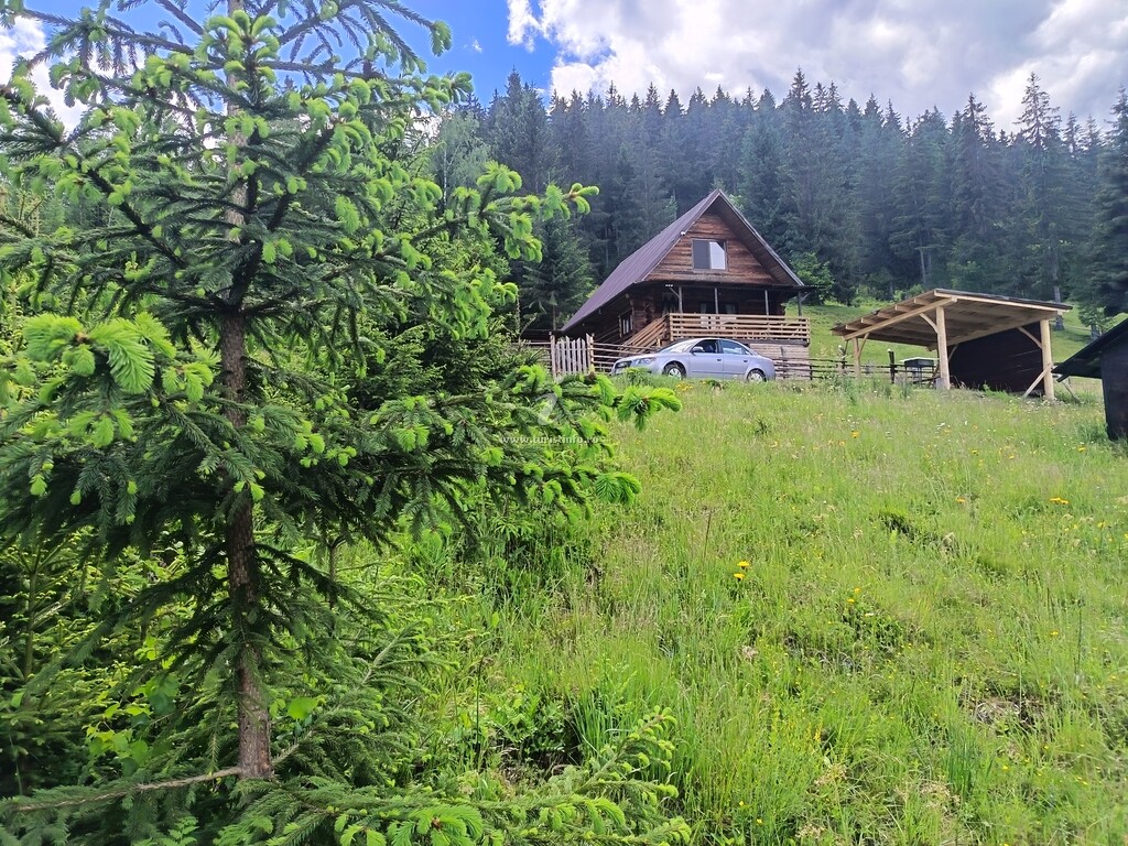 Cabana Norilor