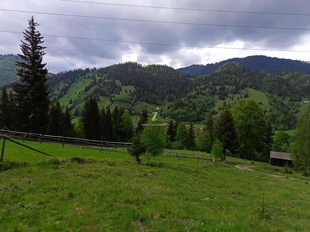 Cabana Norilor