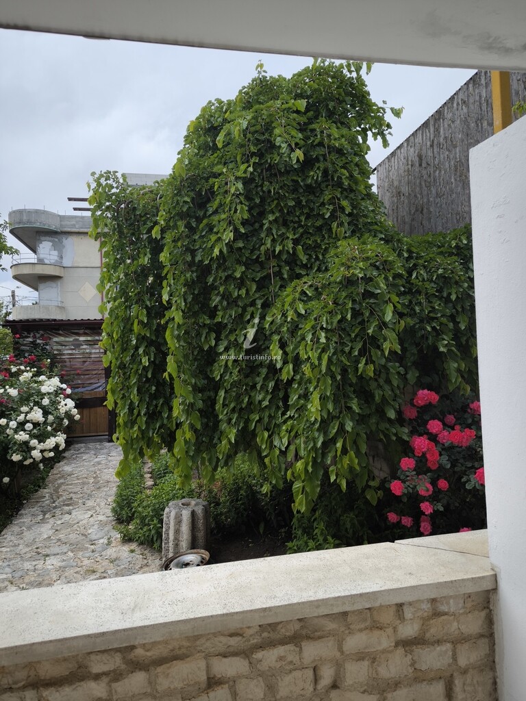 Casa Fifi