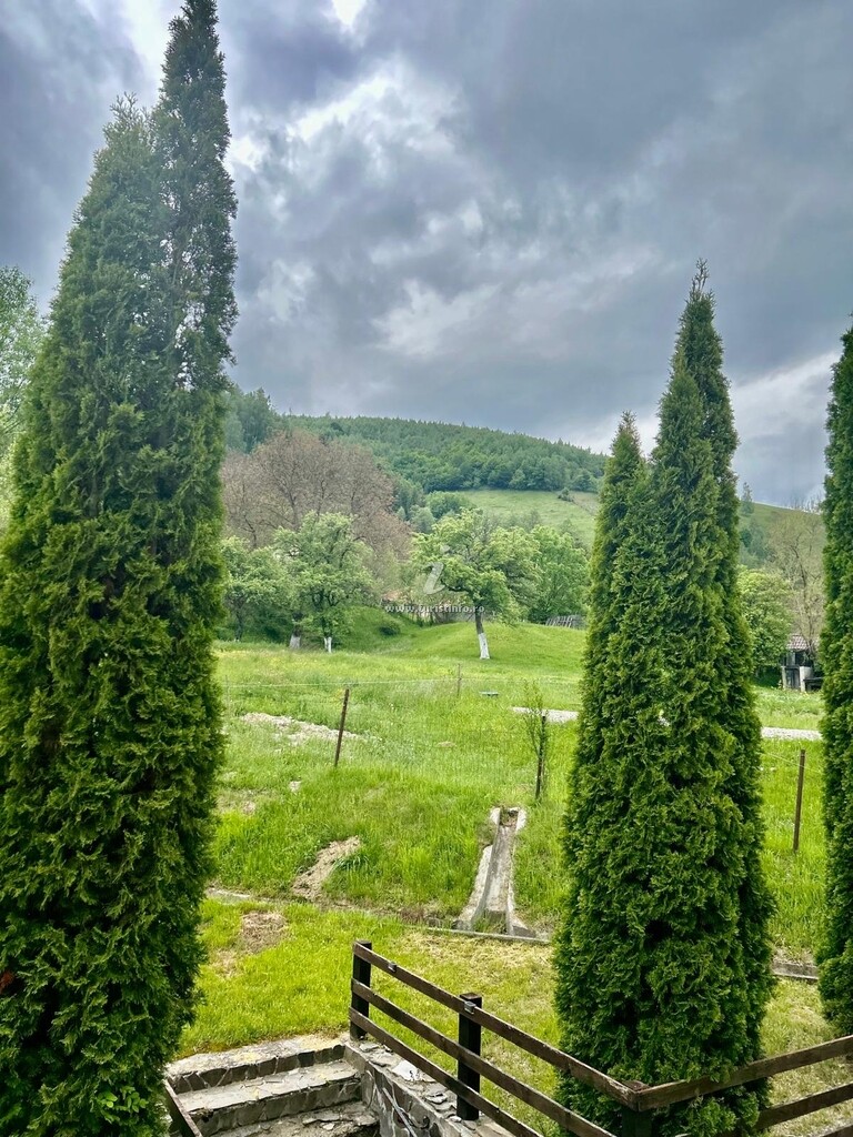 Camere de închiriat Vila dintre Brazi