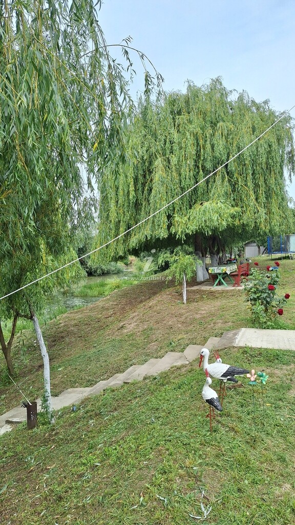 Camere de închiriat Matei