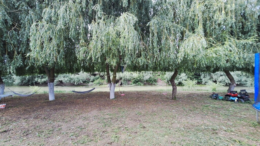 Camere de închiriat Matei