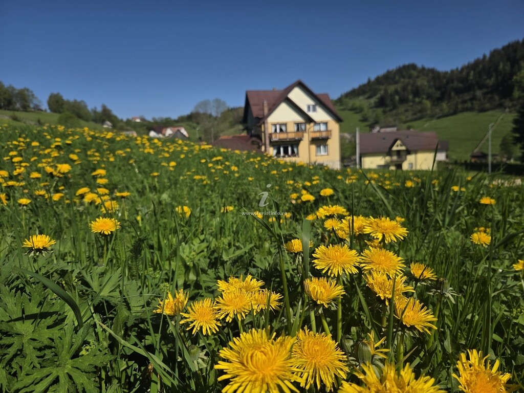 Casa de pe Uliță
